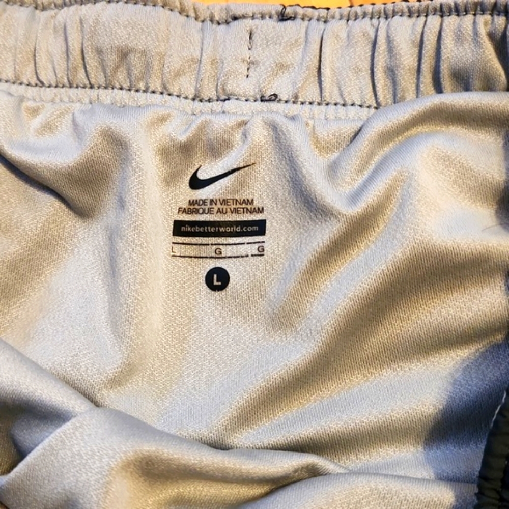 Nike Dri- Fit Men’s Brief- Lined Running Shorts size Large - Picture 3 of 5